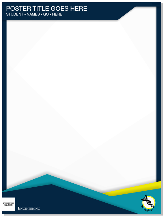 41X poster template1
