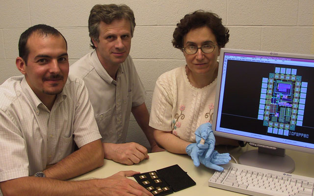 Dr. Stefano Gregori, Dr. Radu Muresan, and Dr. Haleh Vahedi